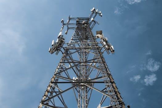 Nigerianos Devem Receber Refeições de Artilhares de Telefonia Celular