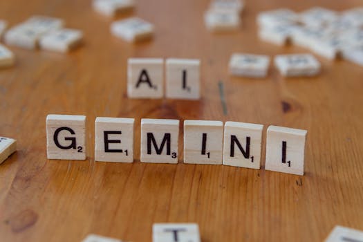 Organize Sua Vida com 8 Dicas Sapatíssimas de Gemini