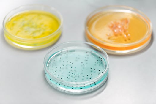 Microbioma do intestino: descoberta revolucionária pode mudar tratamento da depr