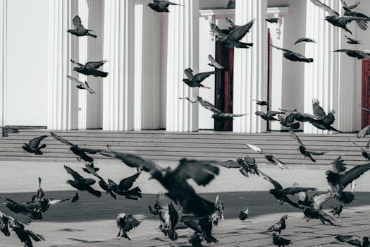 CrowdStrike amplia a detecção e resposta em tempo real no Google Cloud