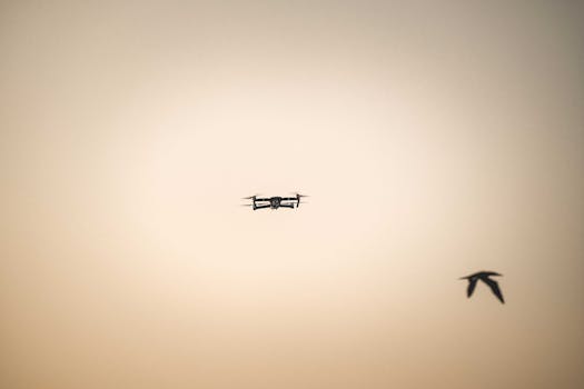 Inovação Tecnológica no Combate a Pragas: GPS e IA para Gerenciar Populações de 