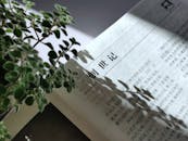 China Cessa Publicação de Influente Revista de Classificação de Publicações Acad
