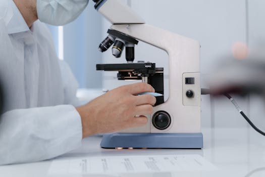 Ciência avança: Empresa cria espermatozoides em laboratório e faz embriões