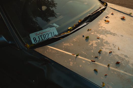 Lotus Wiper: uma nova ameaça cibernética ataca empresas energéticas venezuelanas