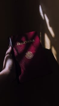 O Reboot de Divine: Uma Nova Abordagem para o Aumento do Conhecimento