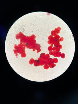 Revelado o Meio de Ataque de T-Cells que Destroem Células Cancerígenas com Previ