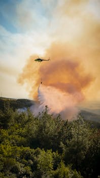 Incêndios Devastadores Afligem Geórgia no Meio de uma Estiagem Severa