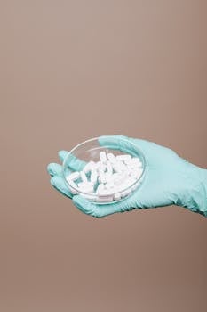 Pesquisadores Restauram Memória Por Meio de Inibição de Proteína Ligada à Doença