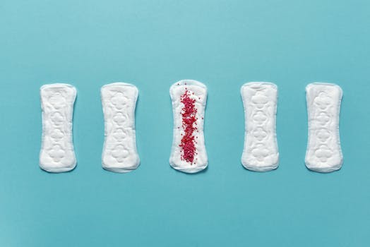 Orgânico que simula o ciclo menstrual mostra como tecidos se reparam