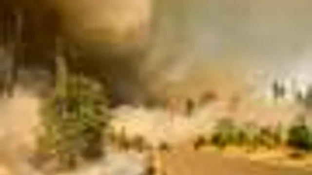Incêndios Florestais e Saúde: O Que É E O Que Pode Ser Feito