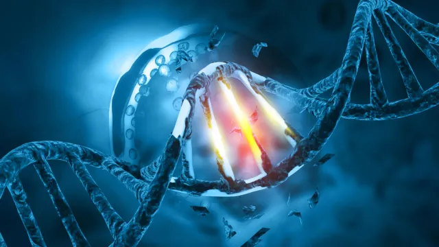 Por que o mesmo dano de DNA faz com que alguns desenvolvam câncer e outros não