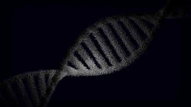 Cientistas desligam a reparação de DNA do câncer para superar resistência a medicamentos