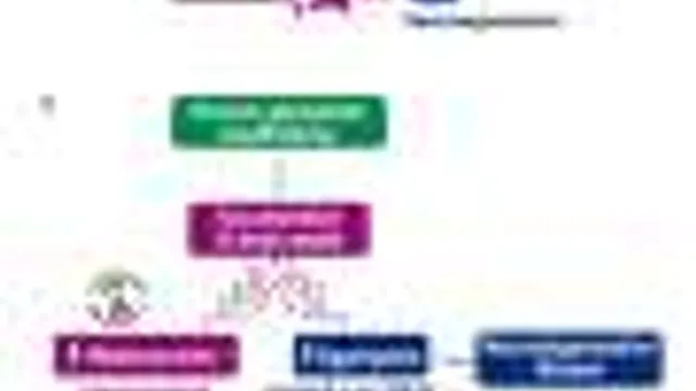 Sistema de Limpeza Cerebral Afetado em Doenças Neurodegenerativas