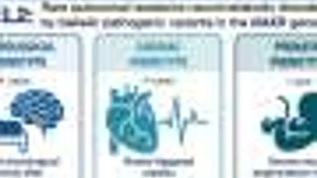 Terapia com Vitamina B3 pode Parar Declínio de Doença Rara e Fatal